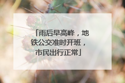 雨后早高峰，地铁公交准时开班，市民出行正常