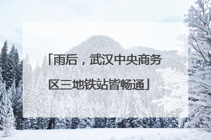 雨后，武汉中央商务区三地铁站皆畅通
