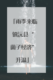 雨季来临 镇沅县“菌子经济”升温