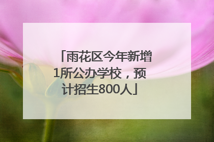 雨花区今年新增1所公办学校，预计招生800人