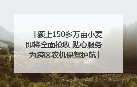颍上150多万亩小麦即将全面抢收 贴心服务为跨区农机保驾护航