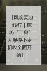 风吹麦浪一线行｜廊坊“三夏”大规模小麦机收全面开始