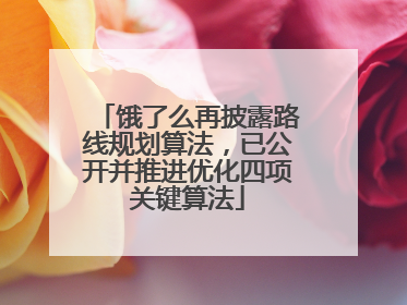 饿了么再披露路线规划算法，已公开并推进优化四项关键算法