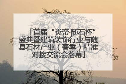 首届“炎帝·随石杯”盛典暨建筑装饰行业与随县石材产业（春季）精准对接交流会落幕
