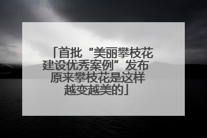 首批“美丽攀枝花建设优秀案例”发布 原来攀枝花是这样越变越美的