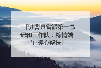 驻曹县省派第一书记和工作队：粽情端午·暖心帮扶