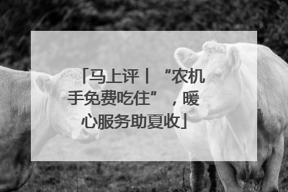 马上评丨“农机手免费吃住”，暖心服务助夏收