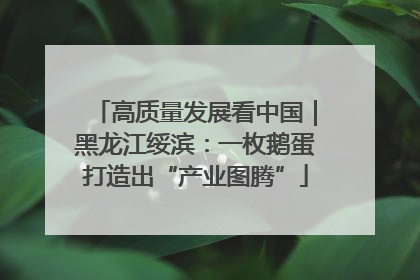 高质量发展看中国｜黑龙江绥滨：一枚鹅蛋打造出“产业图腾”