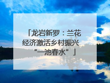龙岩新罗：兰花经济激活乡村振兴“一池春水”
