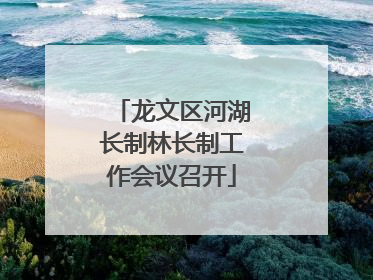 龙文区河湖长制林长制工作会议召开