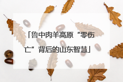 鲁中肉羊高原“零伤亡”背后的山东智慧