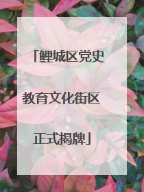 鲤城区党史教育文化街区正式揭牌