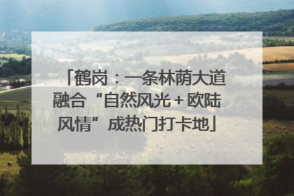 鹤岗：一条林荫大道融合“自然风光＋欧陆风情”成热门打卡地