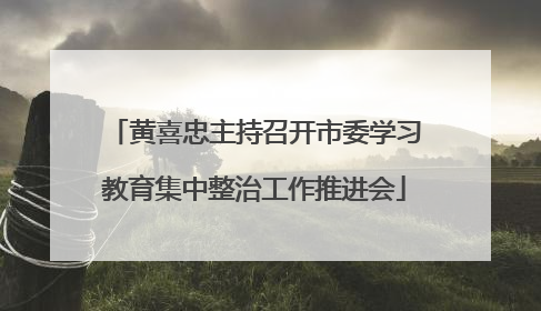黄喜忠主持召开市委学习教育集中整治工作推进会