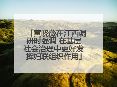 黄晓薇在江西调研时强调 在基层社会治理中更好发挥妇联组织作用