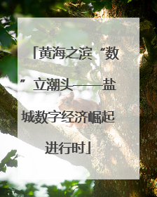 黄海之滨“数”立潮头——盐城数字经济崛起进行时
