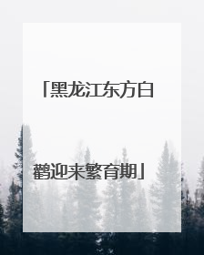 黑龙江东方白鹳迎来繁育期