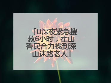 ﻿深夜紧急搜救6小时，霍山警民合力找到深山迷路老人