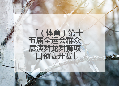 （体育）第十五届全运会群众展演舞龙舞狮项目预赛开赛