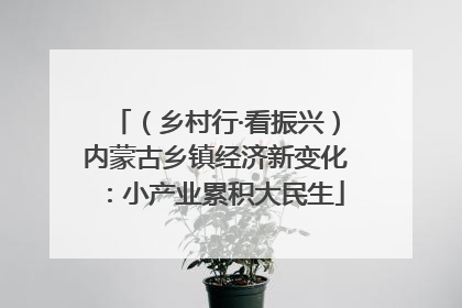 （乡村行·看振兴）内蒙古乡镇经济新变化：小产业累积大民生