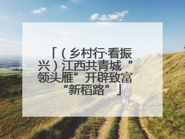 （乡村行·看振兴）江西共青城“领头雁”开辟致富“新稻路”