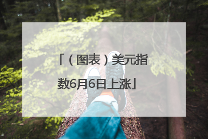 （图表）美元指数6月6日上涨