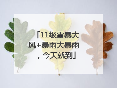 11级雷暴大风+暴雨大暴雨，今天就到