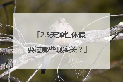 2.5天弹性休假要过哪些现实关？