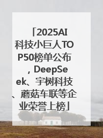 2025AI科技小巨人TOP50榜单公布，DeepSeek、宇树科技、蘑菇车联等企业荣誉上榜