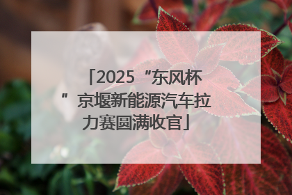 2025“东风杯”京堰新能源汽车拉力赛圆满收官