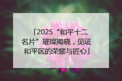2025“和平十二名片”璀璨揭晓，见证和平区的荣耀与匠心