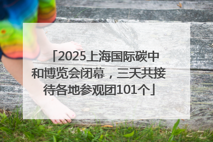2025上海国际碳中和博览会闭幕，三天共接待各地参观团101个
