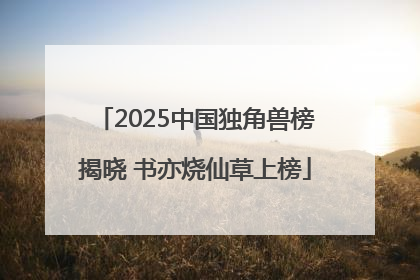 2025中国独角兽榜揭晓 书亦烧仙草上榜