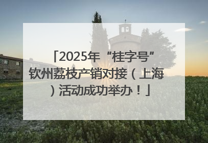 2025年“桂字号”钦州荔枝产销对接（上海）活动成功举办！