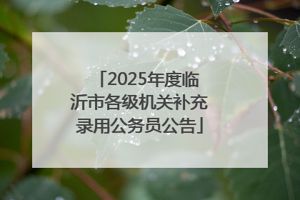 2025年度临沂市各级机关补充录用公务员公告