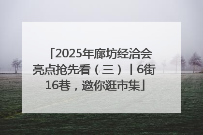 2025年廊坊经洽会亮点抢先看（三）丨6街16巷，邀你逛市集