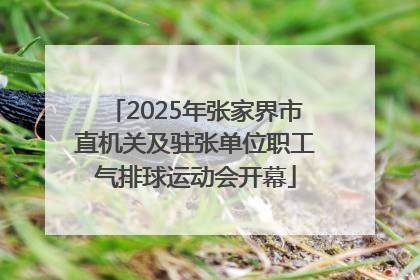 2025年张家界市直机关及驻张单位职工气排球运动会开幕