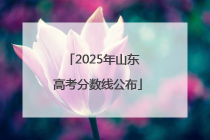 2025年山东高考分数线公布