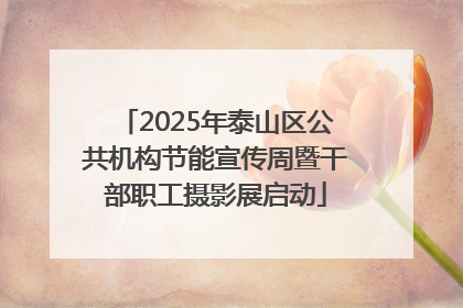 2025年泰山区公共机构节能宣传周暨干部职工摄影展启动