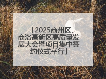 2025商州区、商洛高新区高质量发展大会暨项目集中签约仪式举行