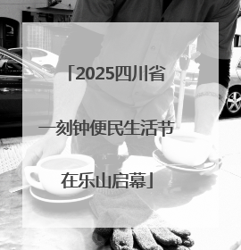 2025四川省一刻钟便民生活节在乐山启幕