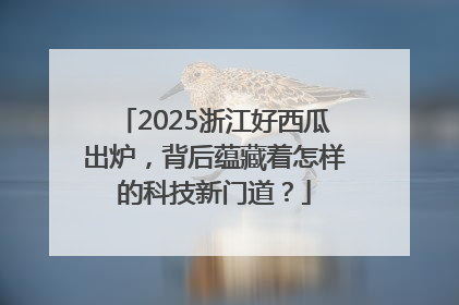 2025浙江好西瓜出炉，背后蕴藏着怎样的科技新门道？