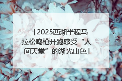 2025西湖半程马拉松鸣枪开跑感受“人间天堂”的湖光山色