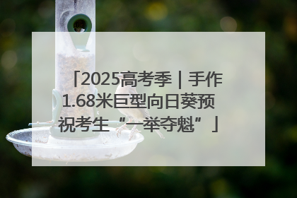 2025高考季｜手作1.68米巨型向日葵预祝考生“一举夺魁”