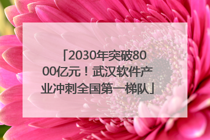 2030年突破8000亿元！武汉软件产业冲刺全国第一梯队