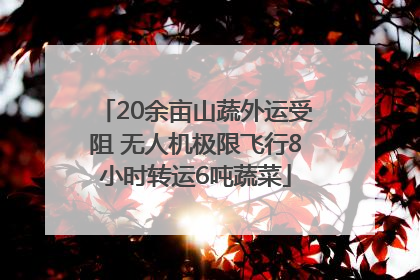20余亩山蔬外运受阻 无人机极限飞行8小时转运6吨蔬菜