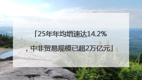 25年年均增速达14.2%，中非贸易规模已超2万亿元