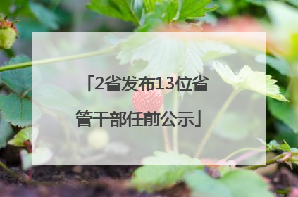 2省发布13位省管干部任前公示