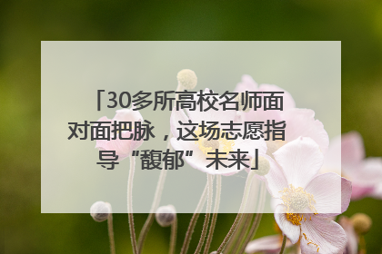 30多所高校名师面对面把脉，这场志愿指导“馥郁”未来