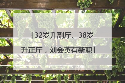 32岁升副厅、38岁升正厅，刘会英有新职